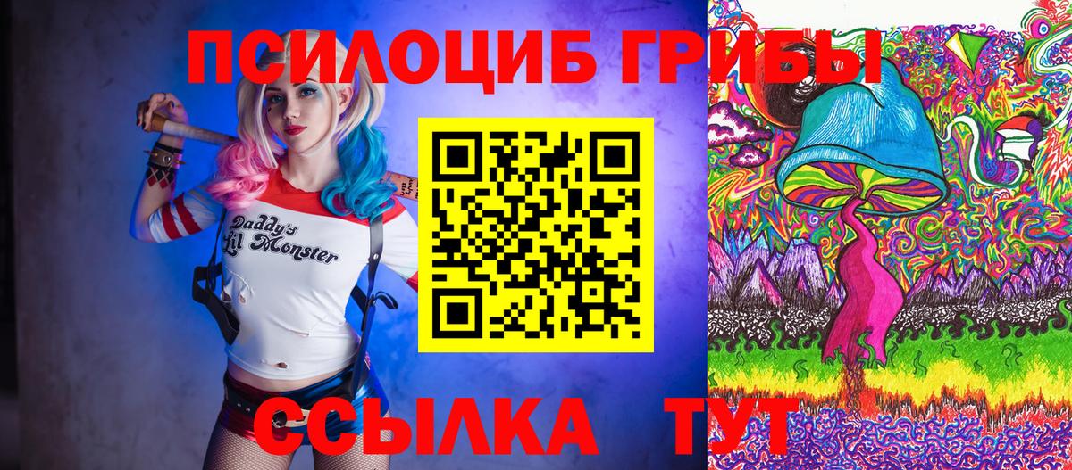 Псилоцибиновые грибы Psilocybe  Вход с VPN  Новозыбков 